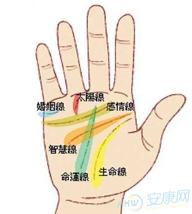 十,理财纹清晰 在手掌感情线上方有一条平行的纹叫做理财纹,有这种