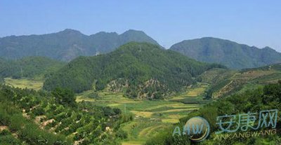 掌握墓地风水 要从"坐山立向"开始