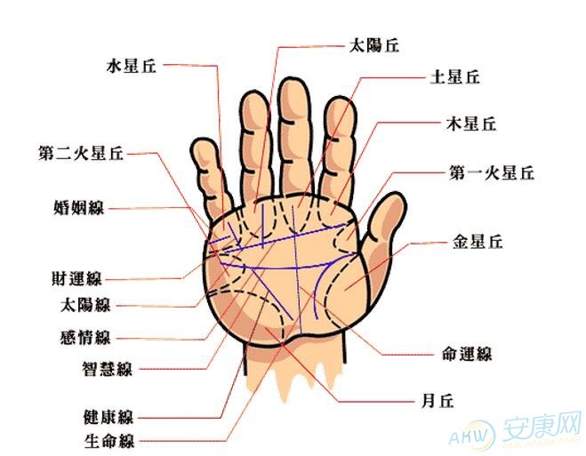 手相算命图解大全手相算命图解大全