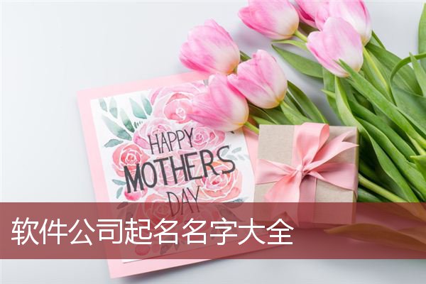 软件公司起名名字大全