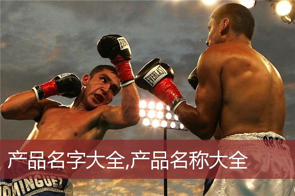 产品名字大全,产品名称大全