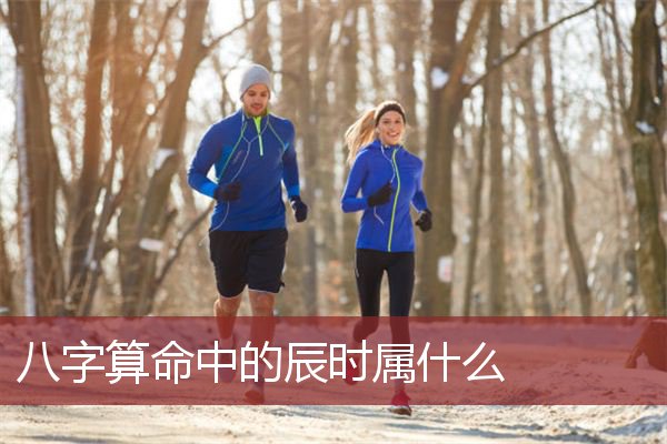 八字算命中的辰时属什么