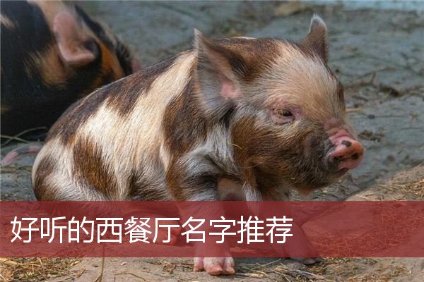 好听的西餐厅名字推荐  