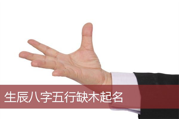 生辰八字五行缺木起名