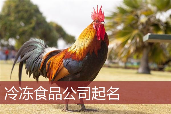 冷冻食品公司起名