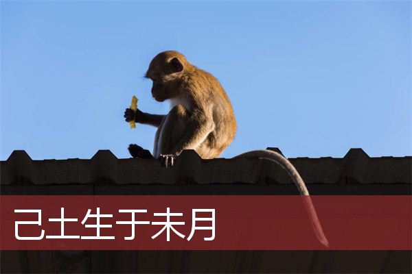 己土生于未月