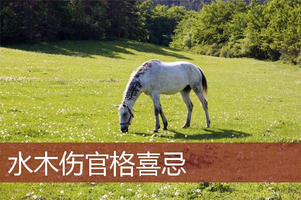 水木伤官格喜忌