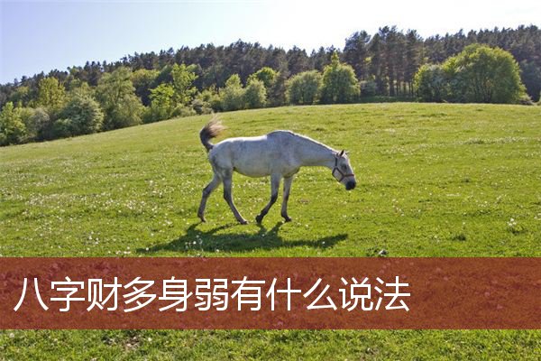 八字财多身弱有什么说法