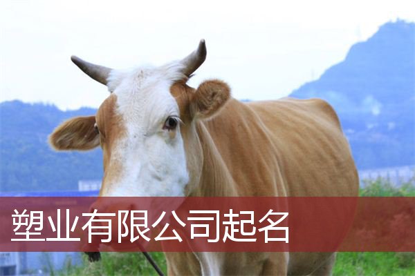 塑业有限公司起名