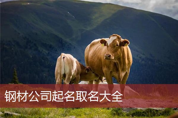 钢材公司起名取名大全
