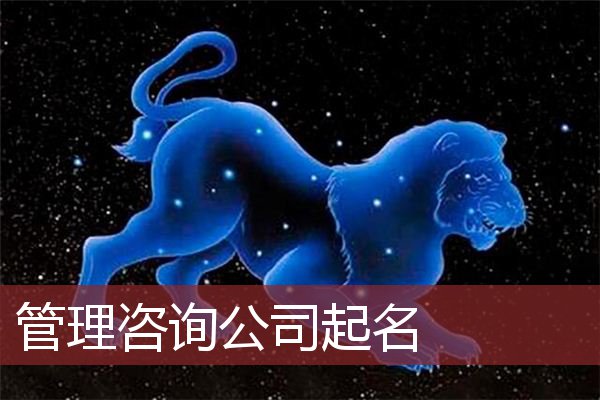 管理咨询公司起名 