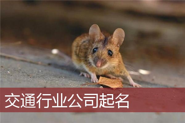 交通行业公司起名