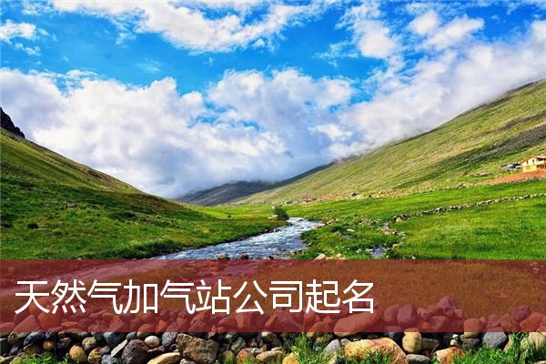 天然气加气站公司起名
