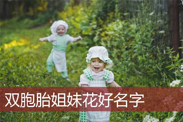 双胞胎姐妹花好名字