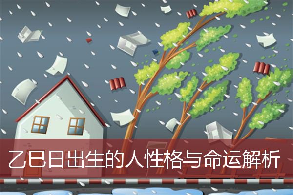 乙巳日出生的人性格与命运解析   