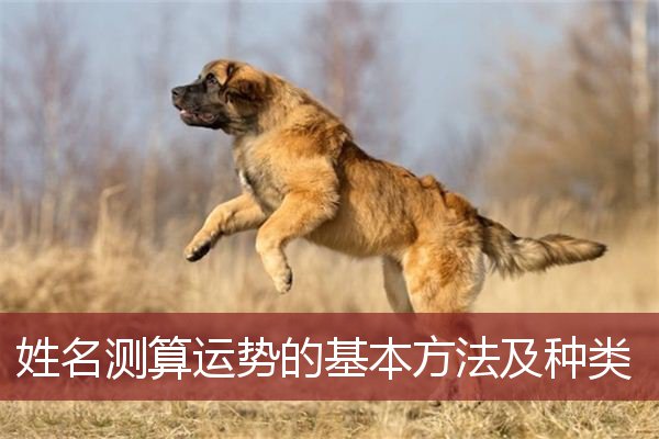 姓名测算运势的基本方法及种类