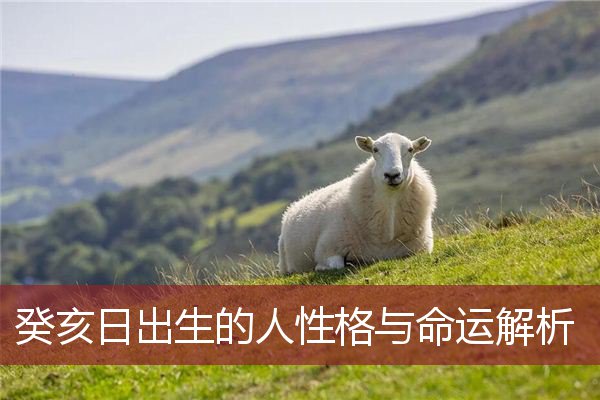 癸亥日出生的人性格与命运解析