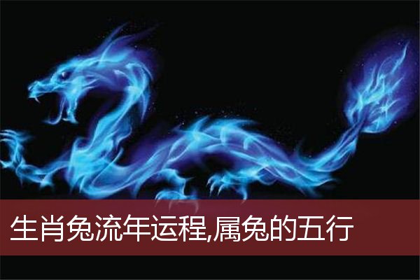 生肖兔流年运程,属兔的五行