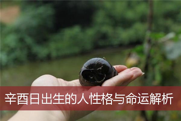 辛酉日出生的人性格与命运解析