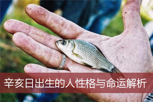 辛亥日出生的人性格与命运解析