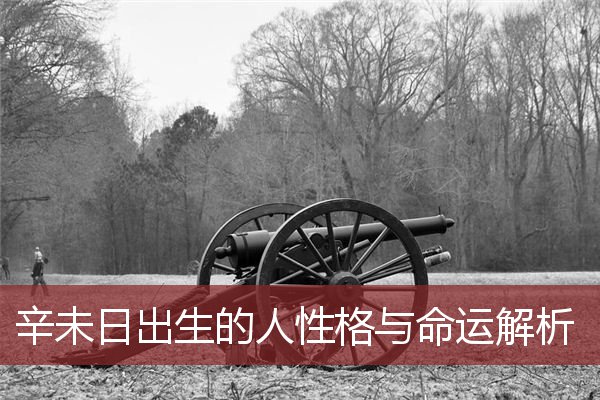 辛未日出生的人性格与命运解析
