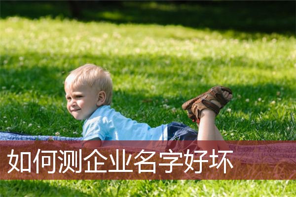 如何测企业名字好坏