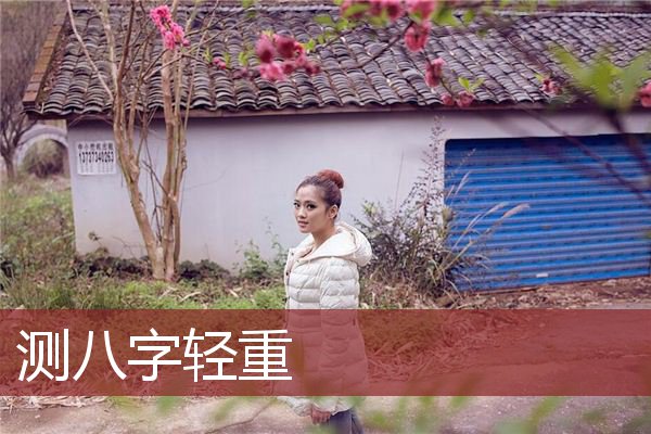 测八字轻重