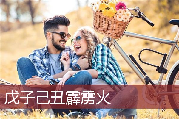 戊子己丑霹雳火