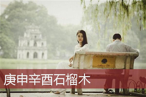 庚申辛酉石榴木