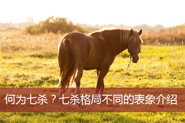 何为七杀？七杀格局不同的表象介绍  八字带七杀&nbsp;七杀