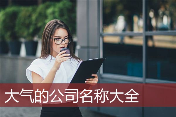 大气的公司名称大全 