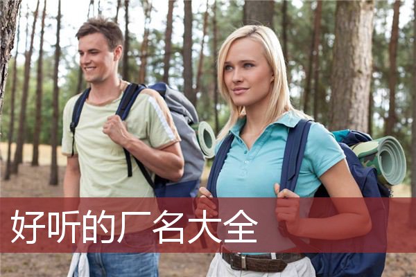 好听的厂名大全 