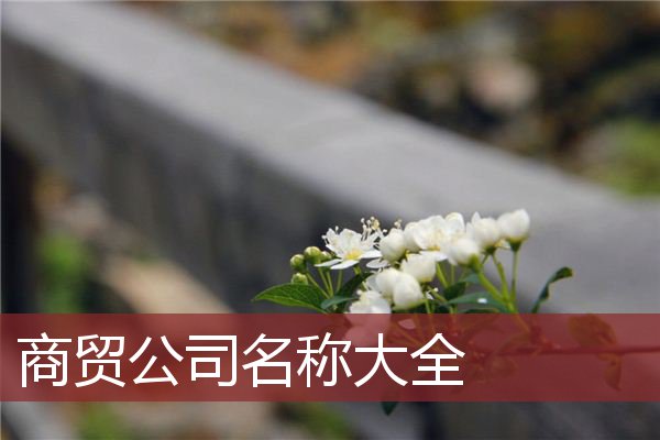 商贸公司名称大全