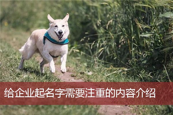给企业起名字需要注重的内容介绍