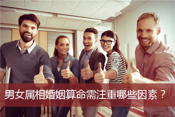 男女属相婚姻算命需注重哪些因素？