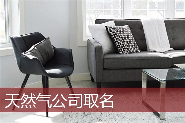 天然气公司取名