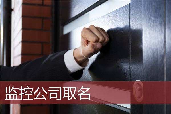 监控公司取名