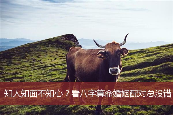 知人知面不知心？看八字算命婚姻配对总没错！