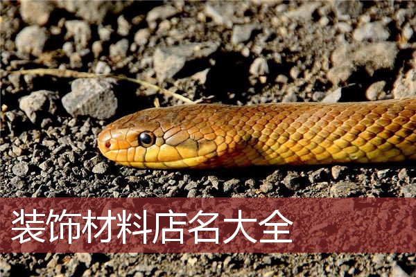 装饰材料店名大全