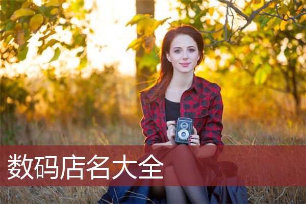 数码店名大全