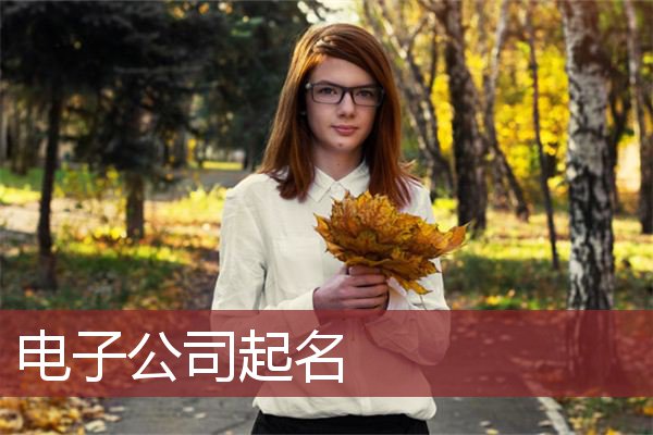 电子公司起名
