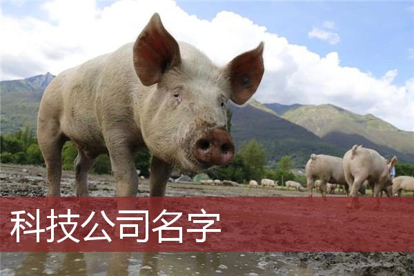 科技公司名字