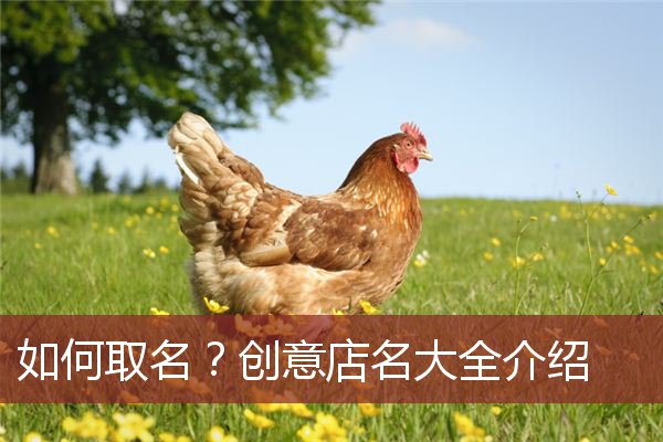 如何取名？创意店名大全介绍