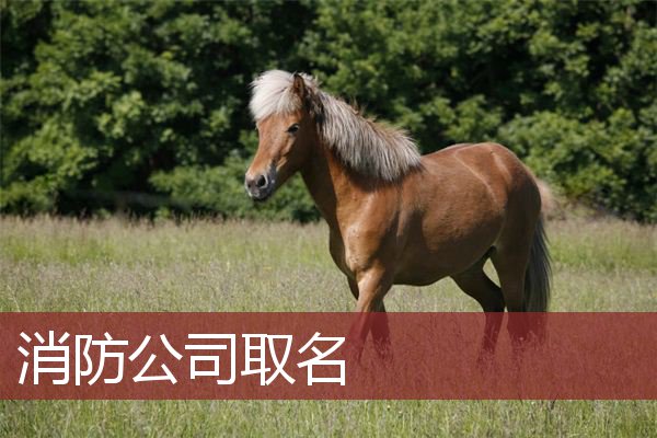 消防公司取名