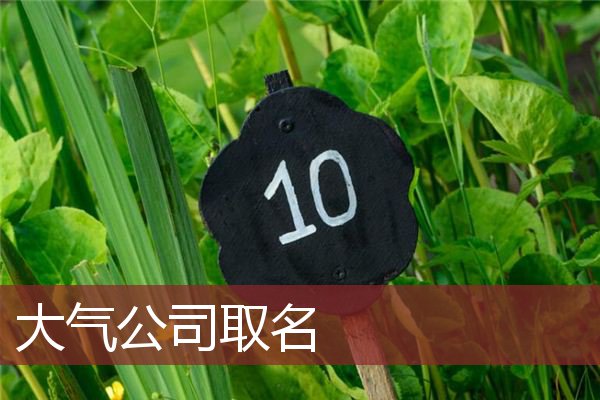 大气公司取名