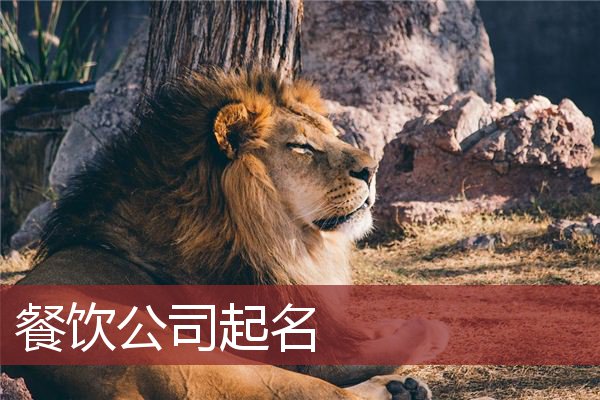 餐饮公司起名