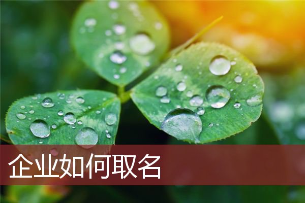 企业如何取名