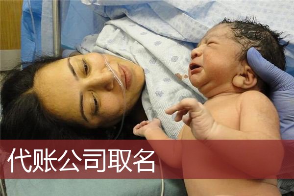 代账公司取名