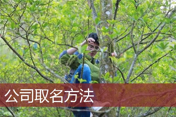 公司取名方法