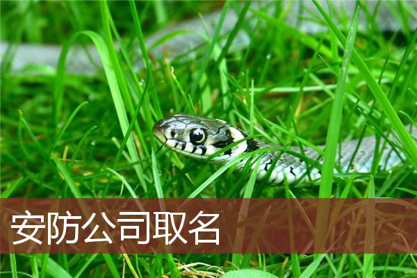 安防公司取名